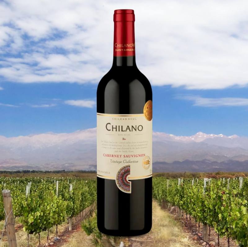 Chilano Vinho Chileno Tinto Cabernet Sauvignon 750Ml Fruit