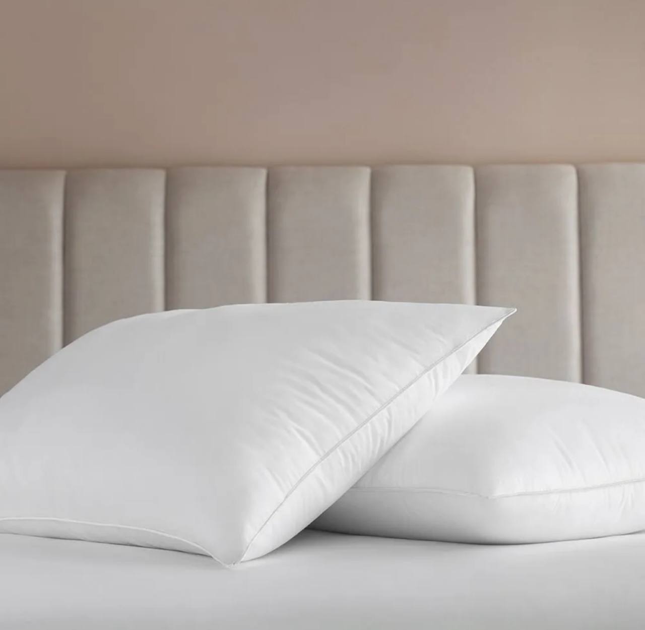 Travesseiro 50x70cm Buddemeyer Cotton Essential Algodão