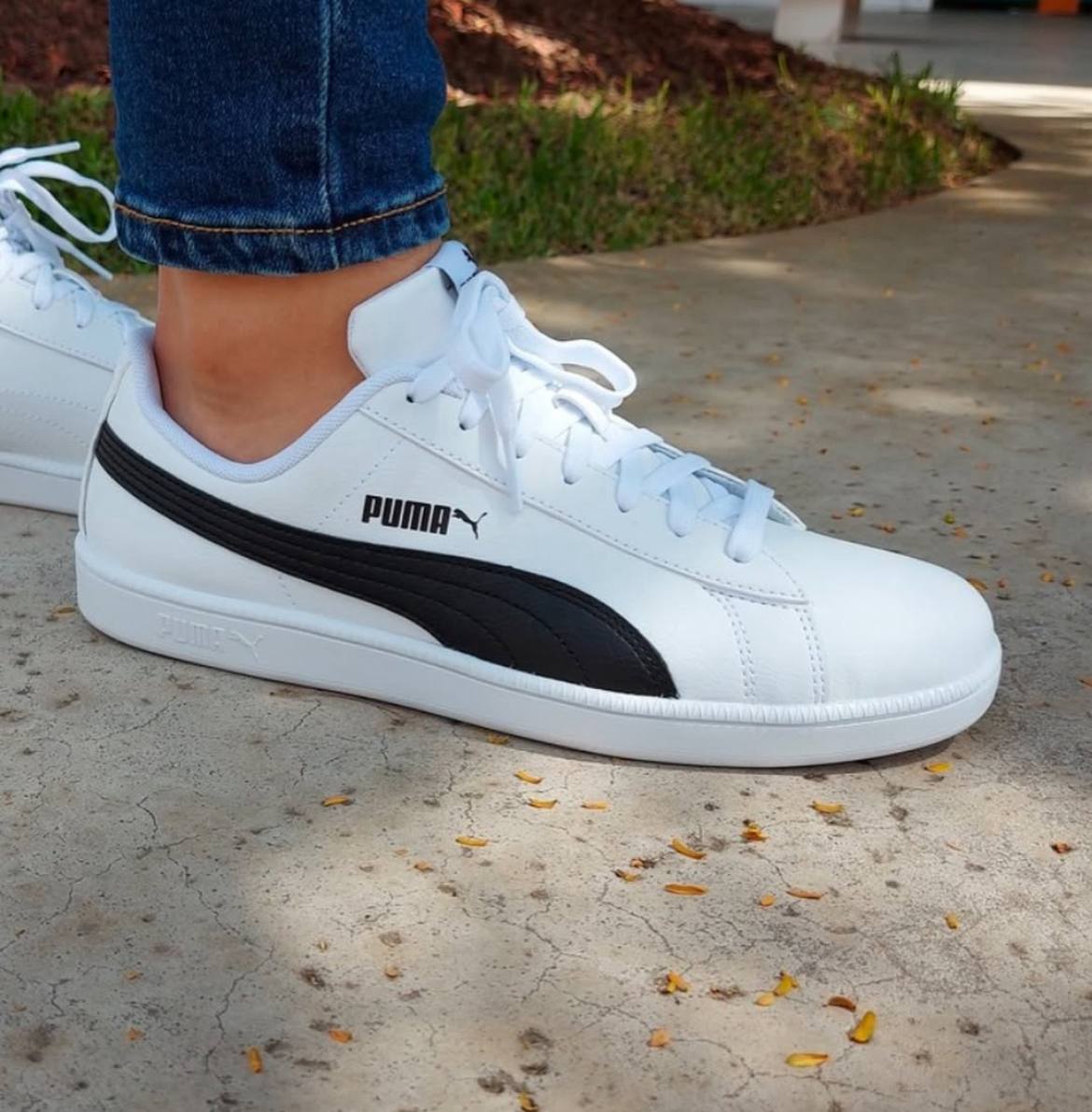 Tênis Casual Masculino E Feminino Up Puma