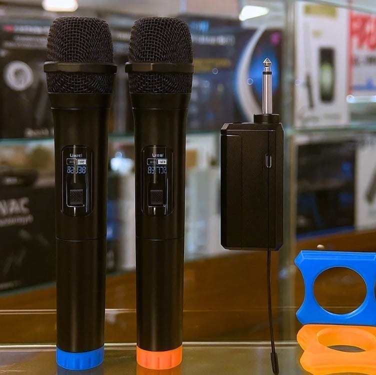 Microfones Dinâmico Sem Fio Duplo Profissional Recarregável
