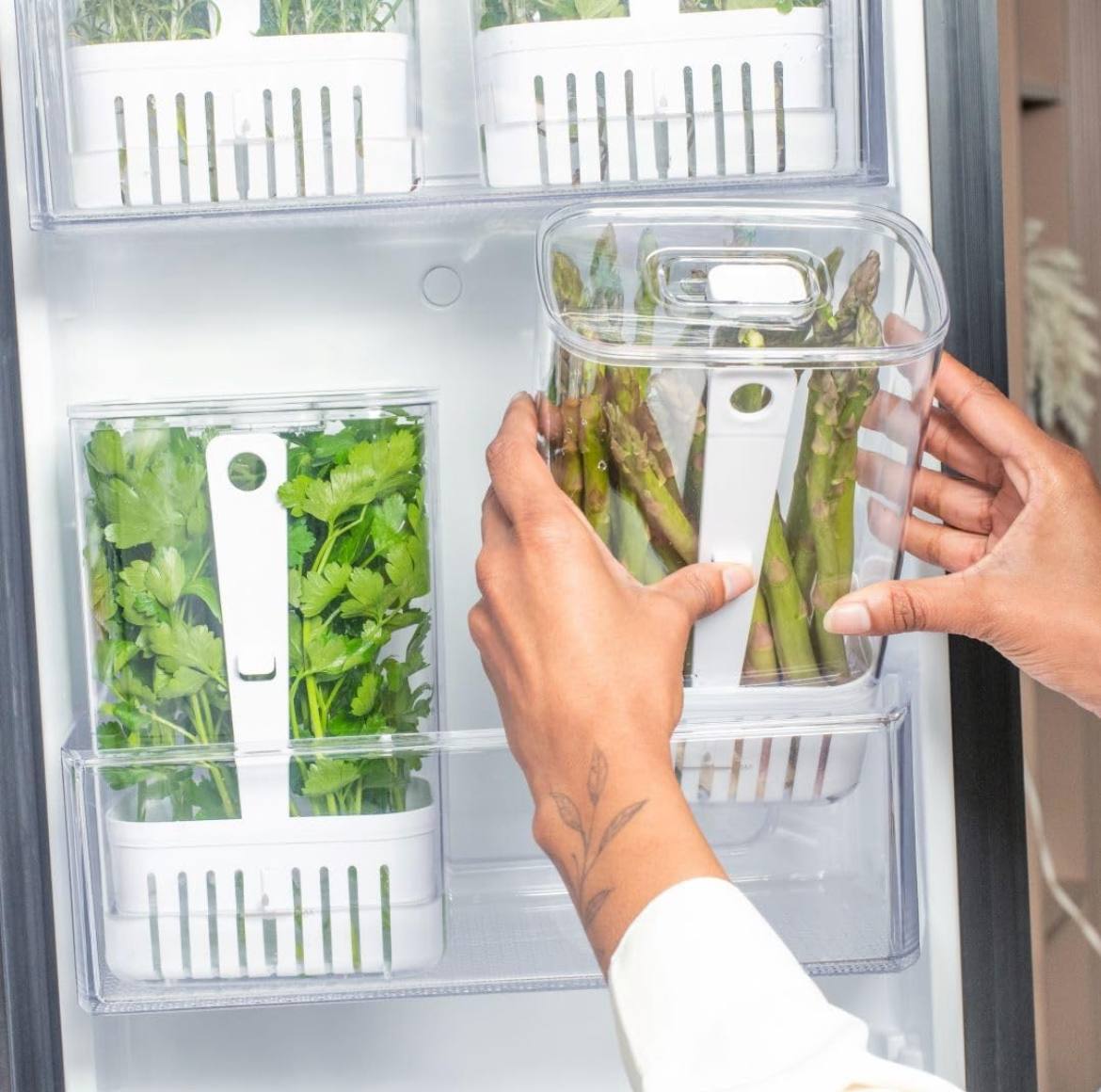 OU ORGANIZADOR DE TEMPEROS CLEAR FRESH 2,3L
