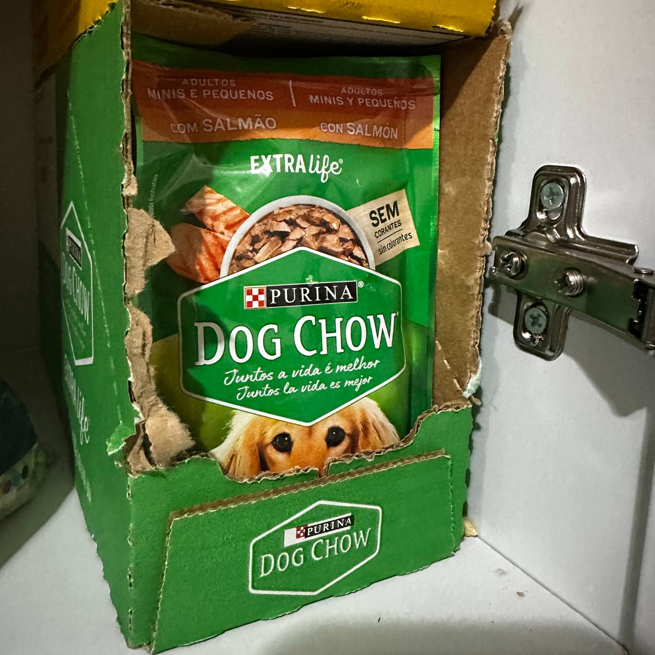 Pack Nestlé Purina Dog Chow Ração Úmida Para Cães Adultos Raças Pequenas Carne Ao Molho - ...