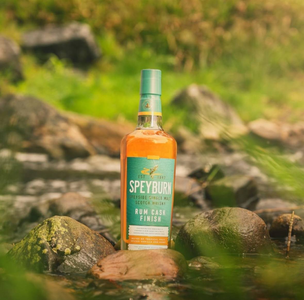 Whisky Speyburn Single Malt Rum Cask Escocês Barris Selecionado Notas Frutas Tropicais 700...